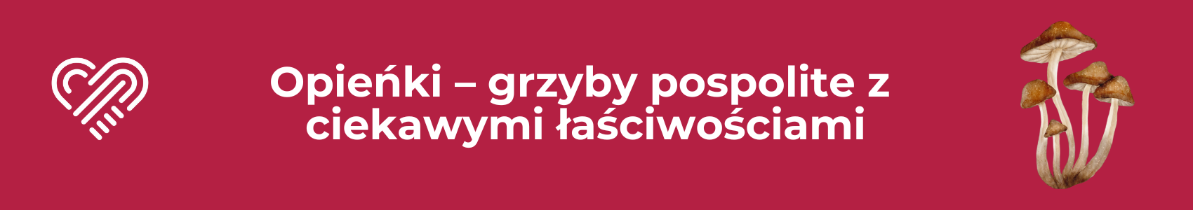 Opieńki