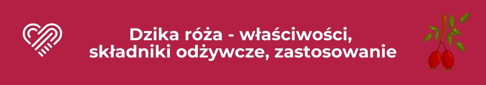 Dzika róża