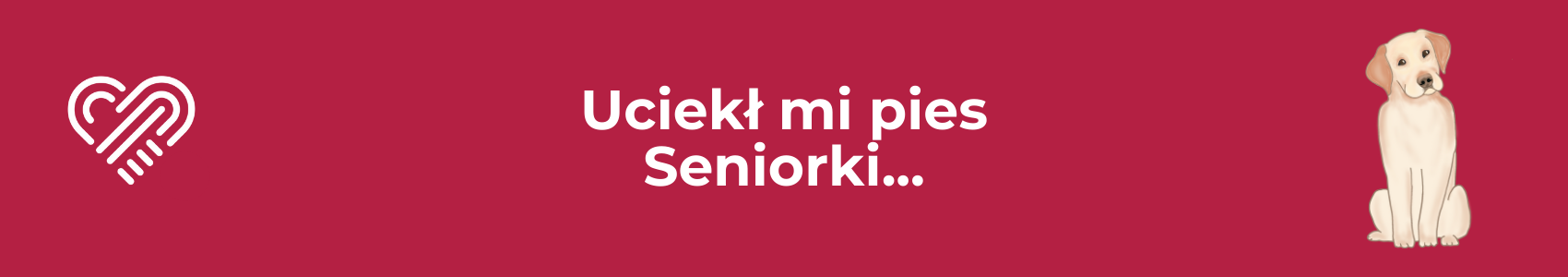 Uciekł mi pies seniorki...