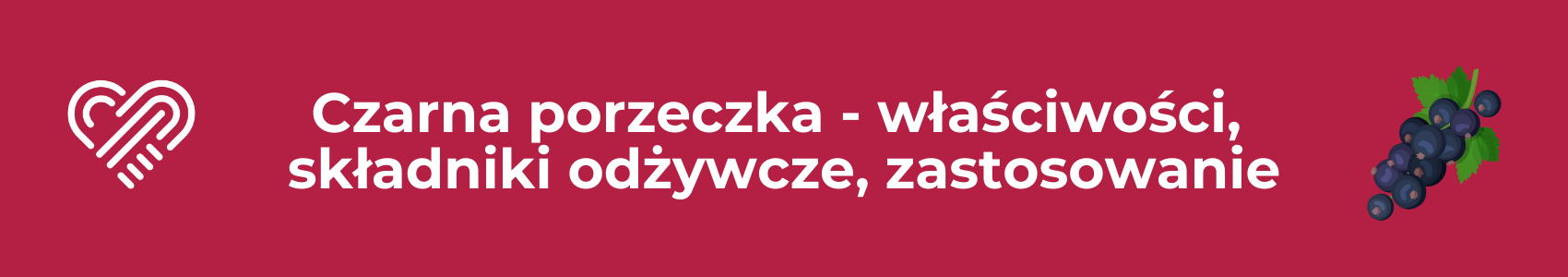 Czarna porzeczka