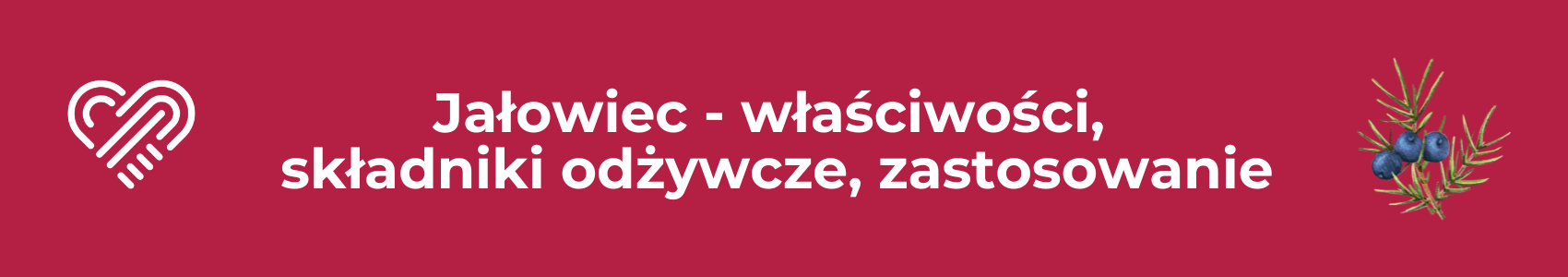 Jałowiec