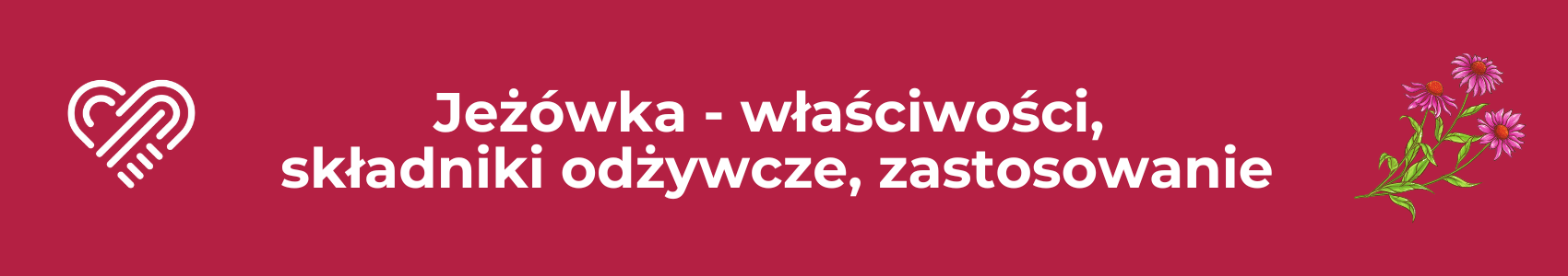 Jeżówka