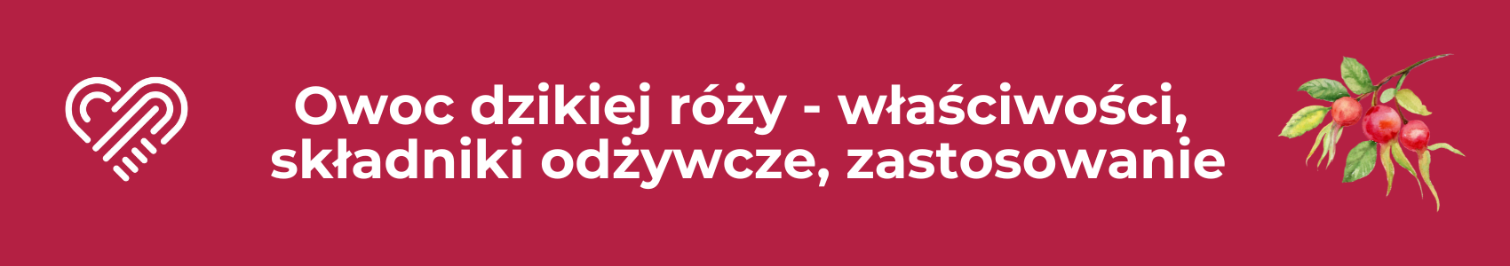 Owoc dzikiej róży