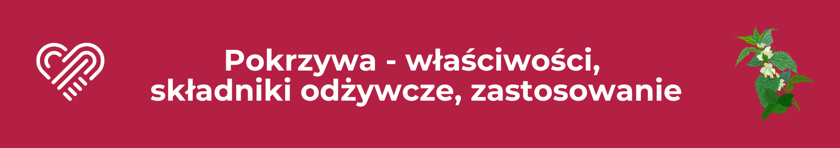 Pokrzywa