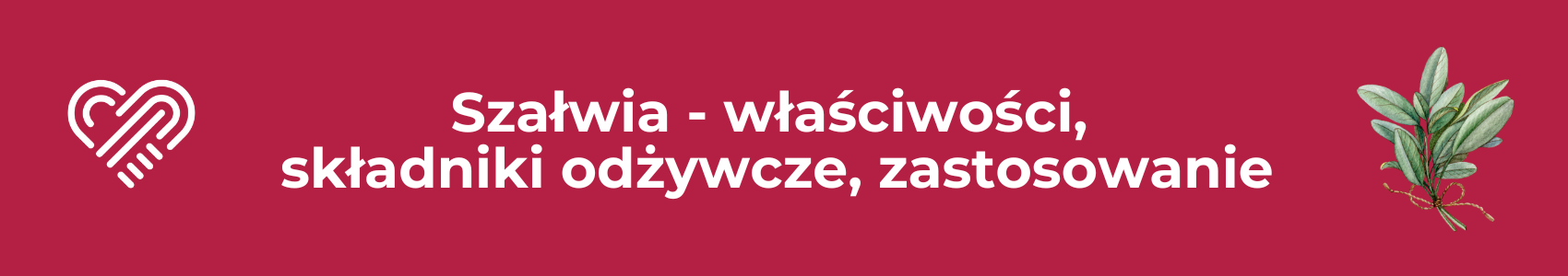 Szałwia