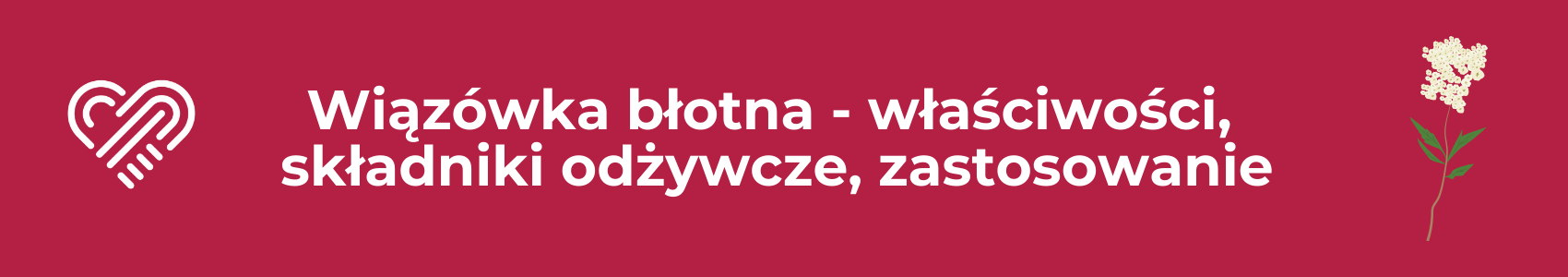 Wiązówka błotna