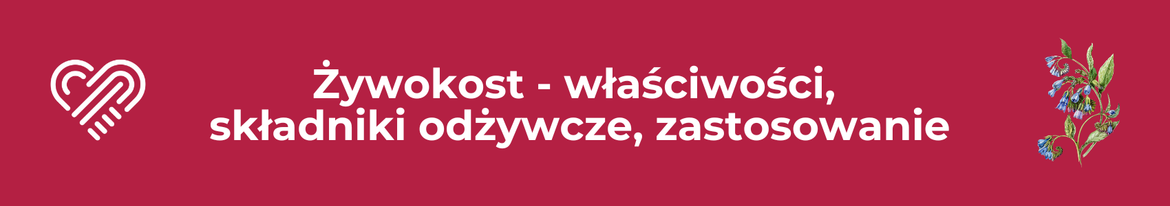 Żywokost