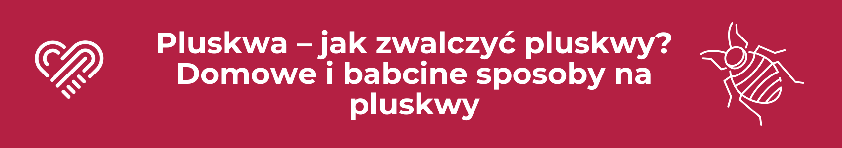 Pluskwa – jak zwalczyć pluskwy? Domowe i babcine sposoby na pluskwy