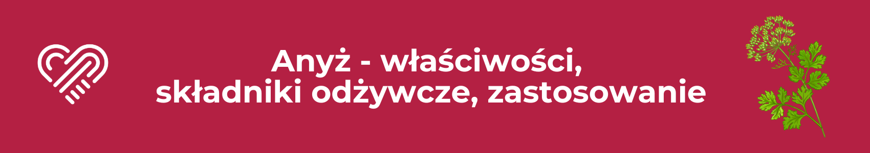 Biedrzeniec anyż – właściwości. Jak stosować anyż w kuchni, naparach i kosmetyce