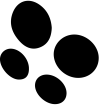 WEST-SERVICE