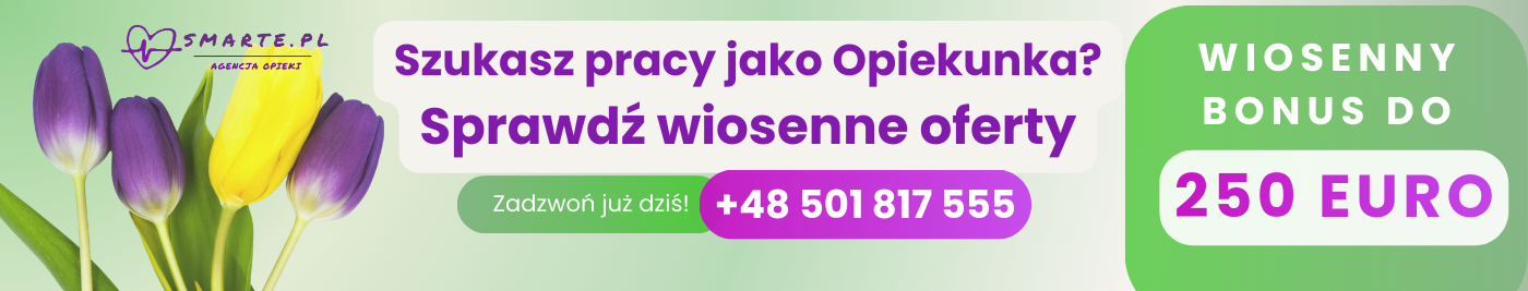 baner-single-offert-not-premium