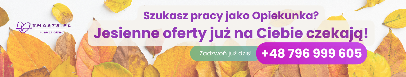 baner-single-offert-not-premium
